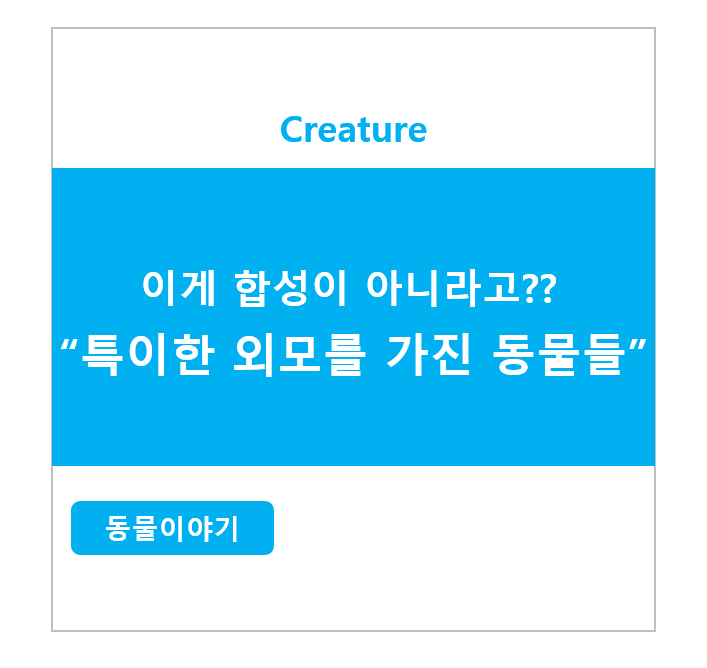 이게 합성이 아니라고?? 특이한 외모를 가진 동물들