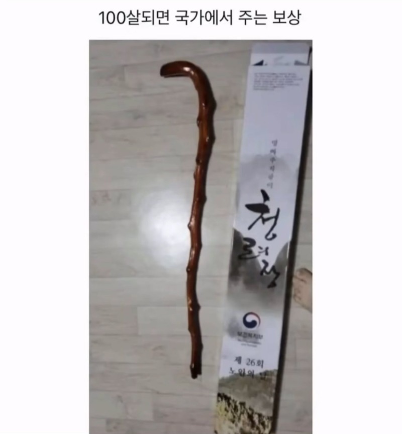 100살이 되면 국가에서 주는 보상 