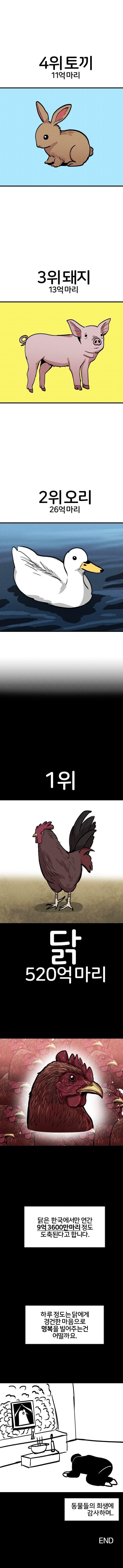전세계 도축되는 동물 순위 Top 10