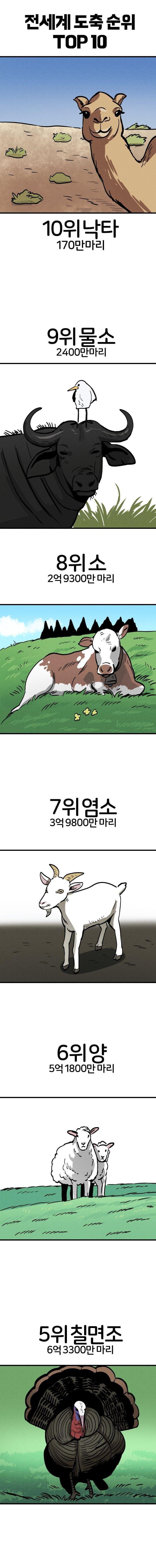 전세계 도축되는 동물 순위 Top 10
