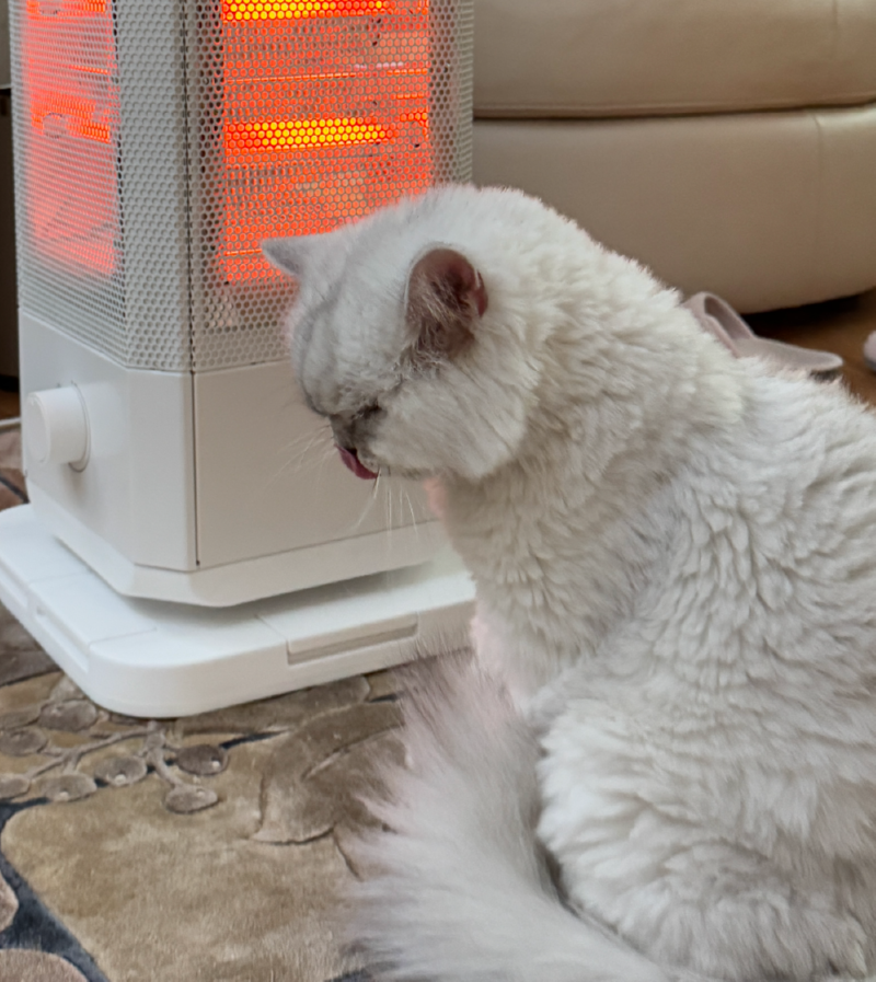 루루 따뜻해요?