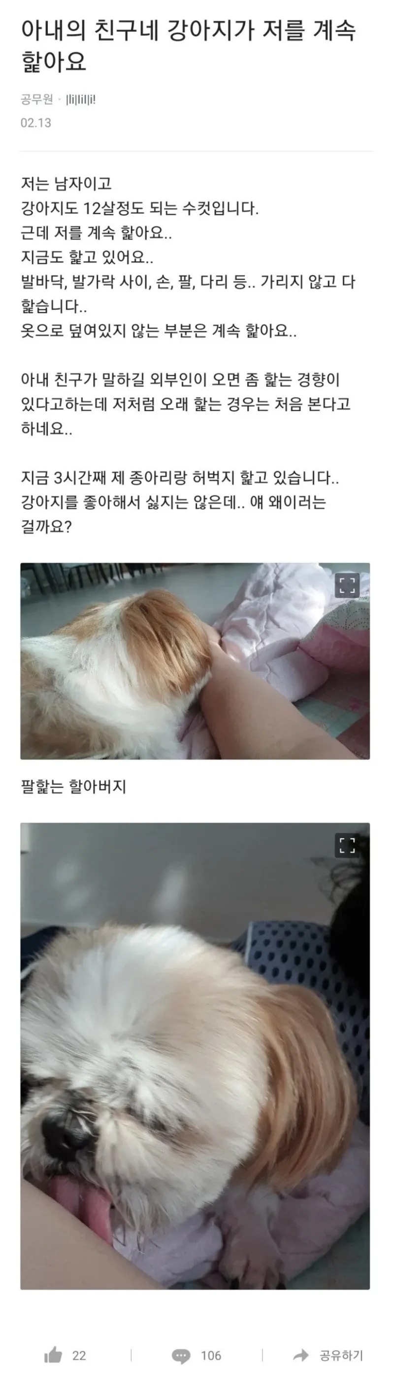 친구네 강아지가 저를 계속 핥아요