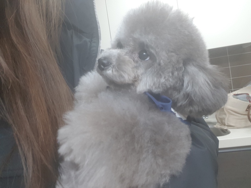 언제 이렇게 컸지 
