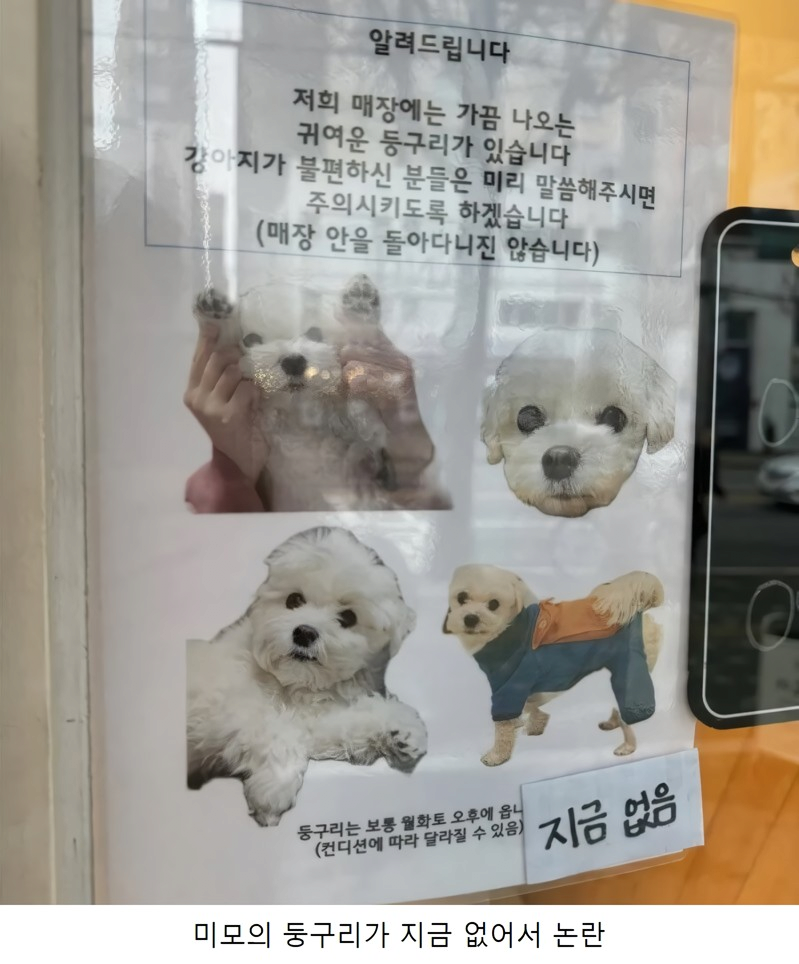 매장 내 강아지 출입논란 