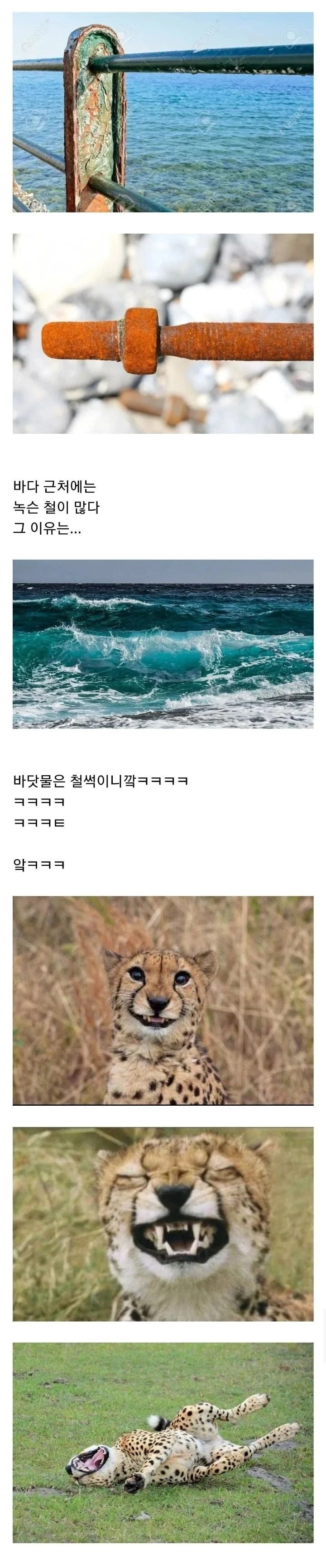 바닷물에 철이 녹스는 이유