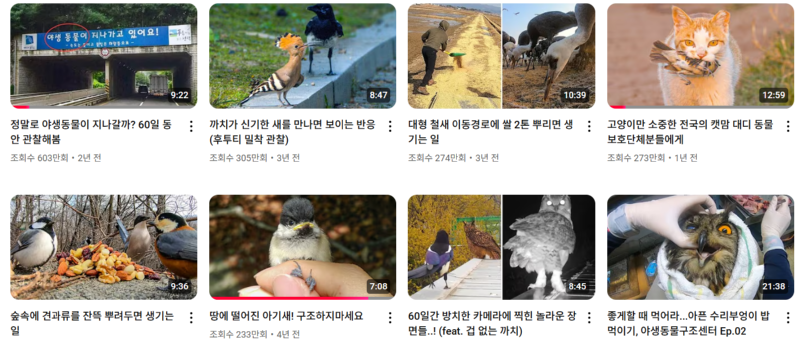 유명한 야생동물 및 이색동물 인플루언서 유튜버