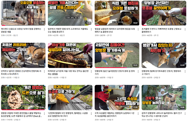 유명한 야생동물 및 이색동물 인플루언서 유튜버