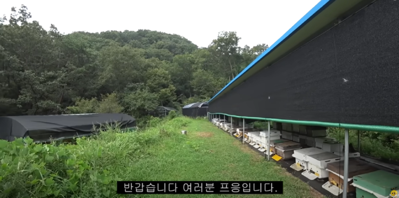 유명한 야생동물 및 이색동물 인플루언서 유튜버