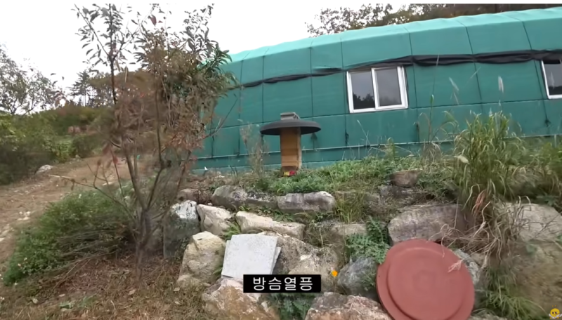 유명한 야생동물 및 이색동물 인플루언서 유튜버