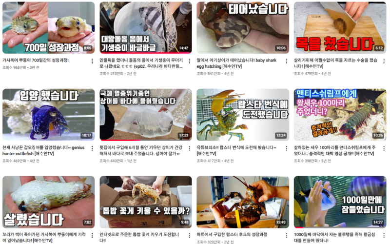 유명한 야생동물 및 이색동물 인플루언서 유튜버