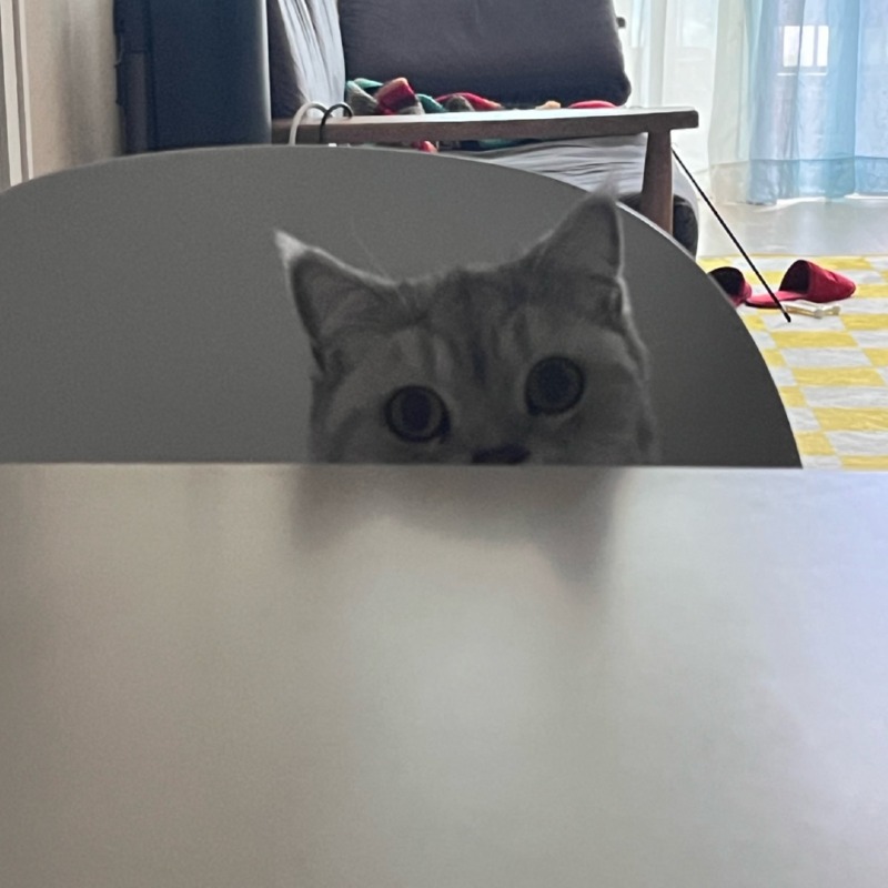 아들