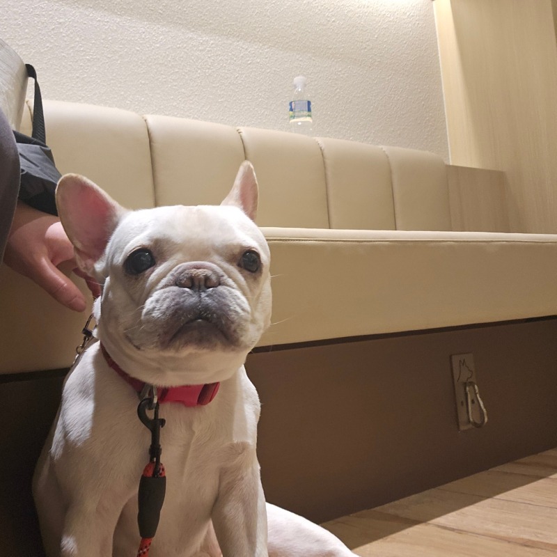 찐빵 