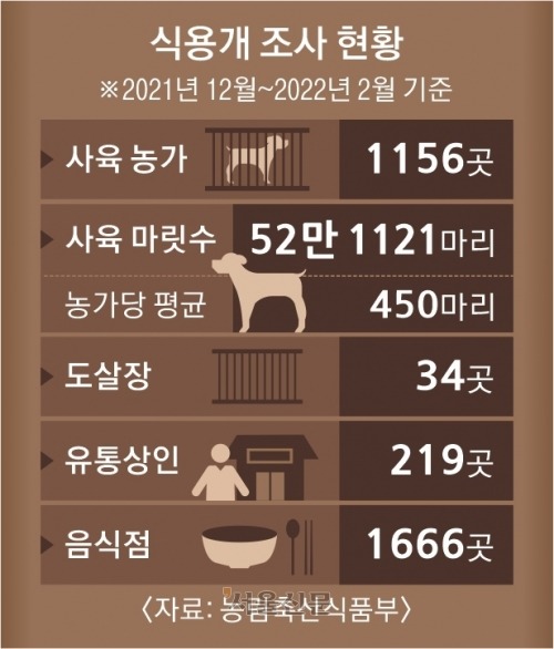 2025년, 올해부터 바뀌는 반려동물 관련 법 