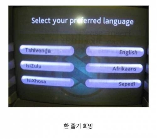 영어가 모국어가 되는 순간