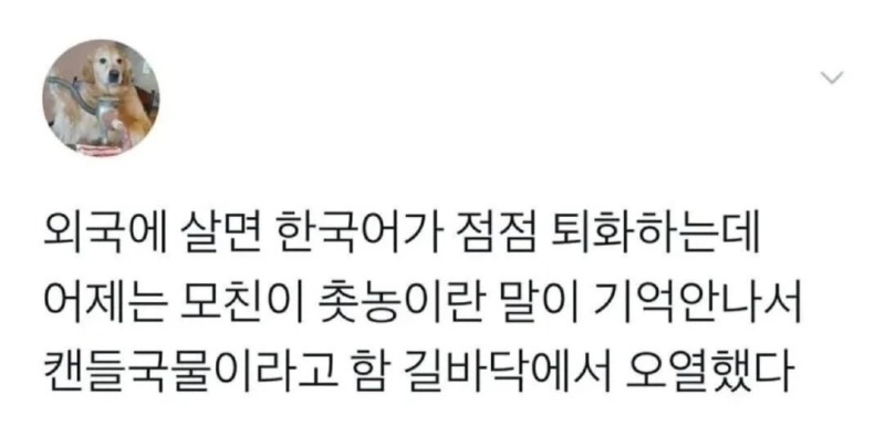 퇴화 해버린 한국어