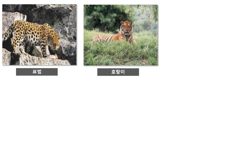 1급 멸종위기종 - 1급 멸종 위기종 종류 