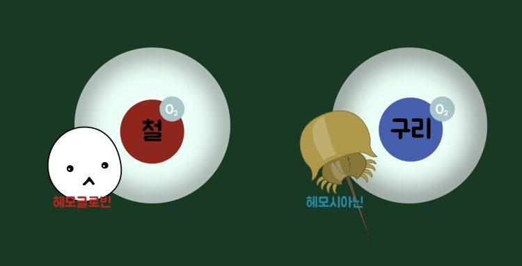 아직도 옛날 모습 그대로?? 살아있는 화석