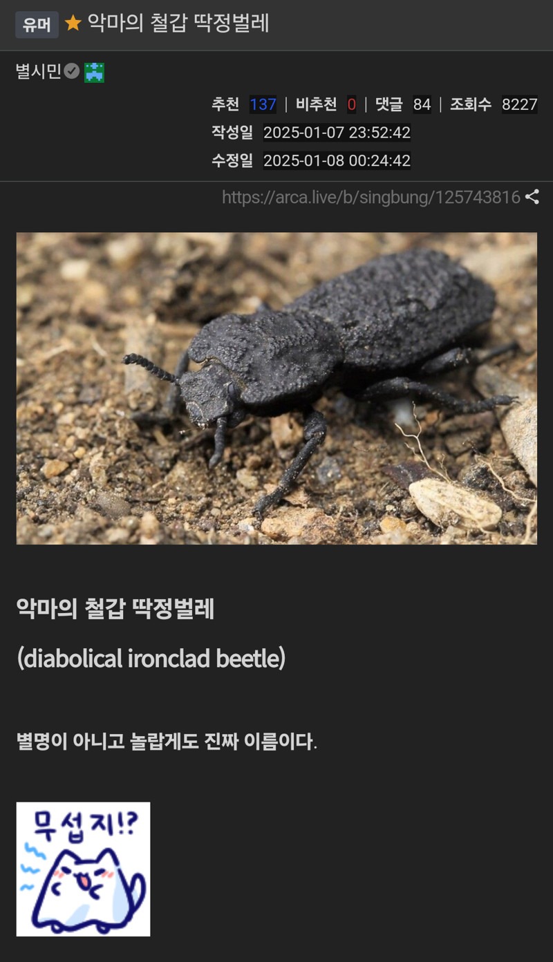 악마의 철갑 딱정벌레! 