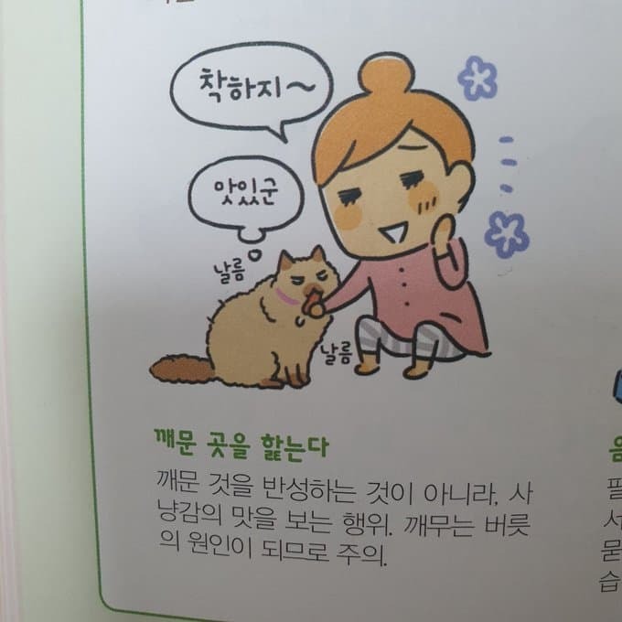 고양이가 깨무는 이유 