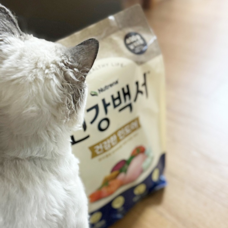 KakaoTalk_20250108_172702062_09.jpg