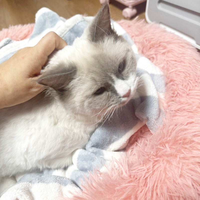 KakaoTalk_20250108_172702062_07.jpg