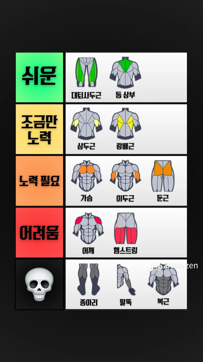키우기 어려운 근육 모음 