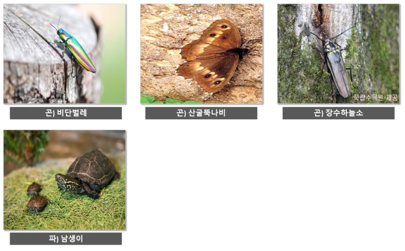 천연기념물의 종류 (동물 리스트)