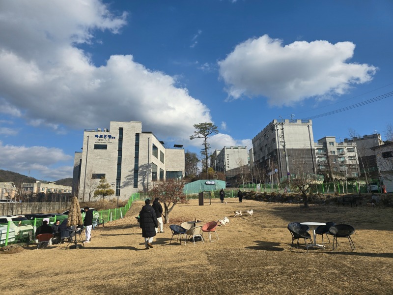 피터펫츠 내유점, 안팎으로 놀수있는 반려견 천국 애견카페!