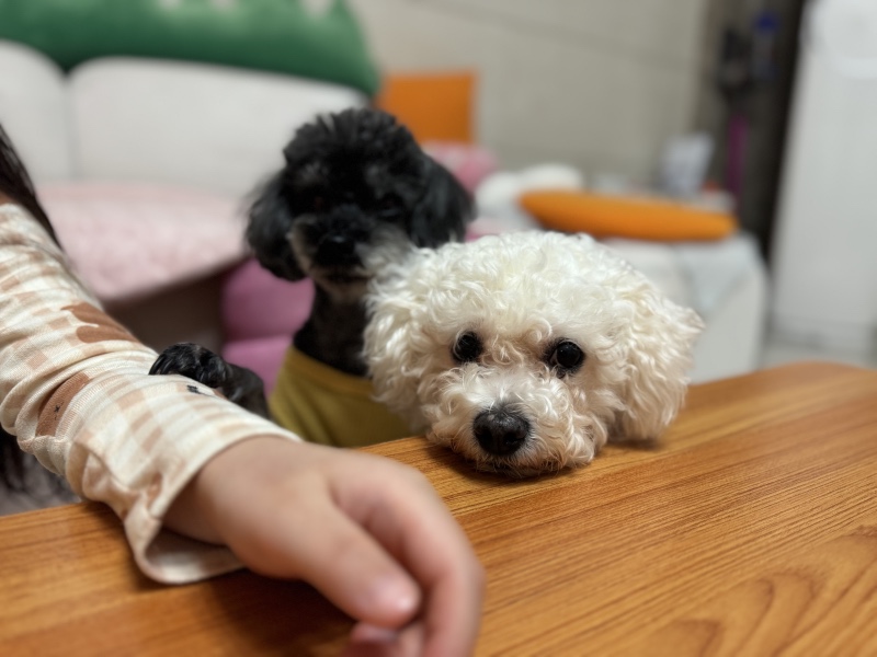 우리 먹순이 💓