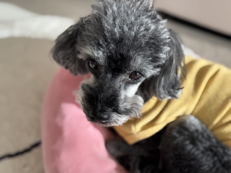 일상 💓