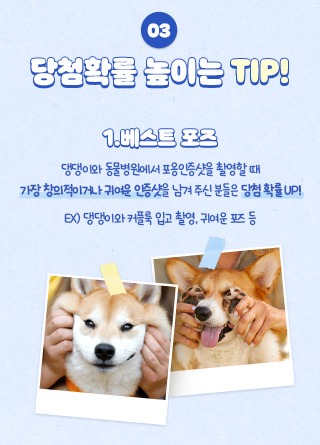 넥스가드 허그미 캠페인, 인증샷 이벤트 (~ 25.02.14) 