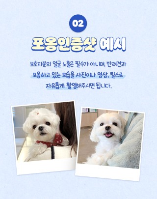 넥스가드 허그미 캠페인, 인증샷 이벤트 (~ 25.02.14) 