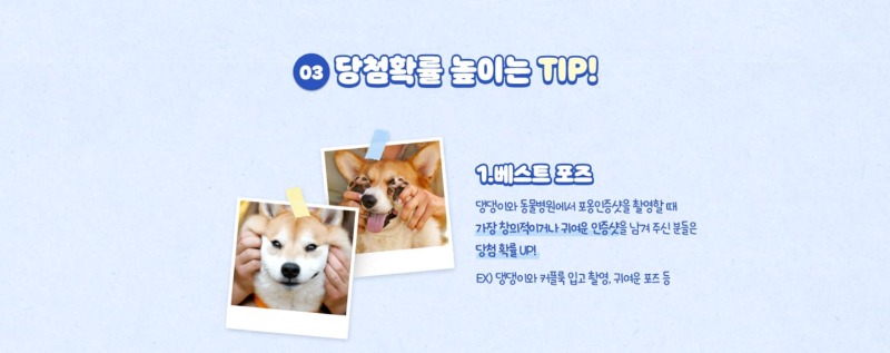 넥스가드 허그미 캠페인, 인증샷 이벤트 (~ 25.02.14) 