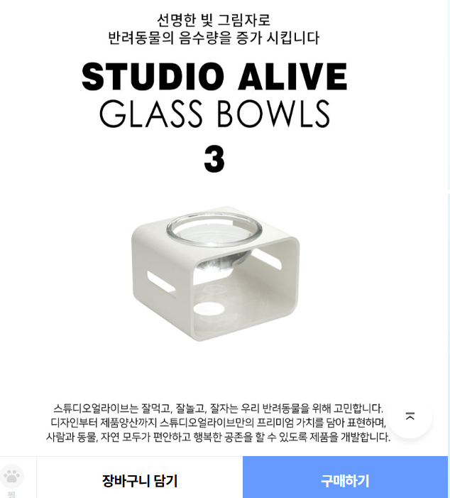 20250113104646.png