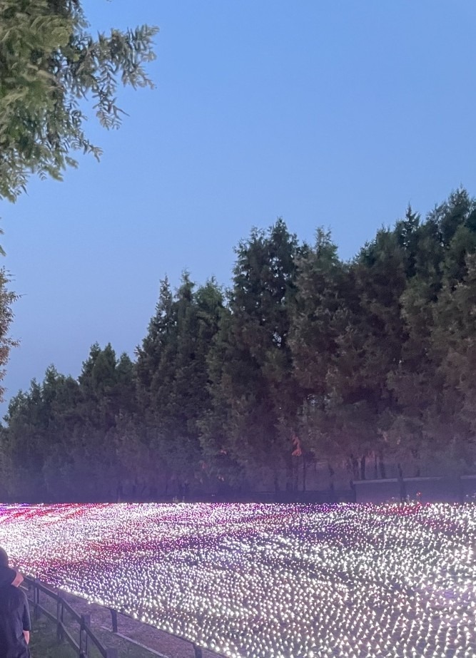 화랑대철도공원 강아지 산책