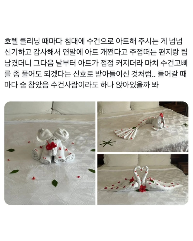 호텔 수건 아트