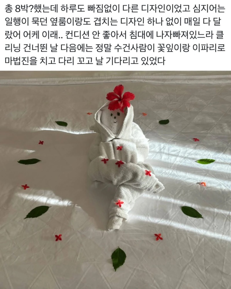 호텔 수건 아트