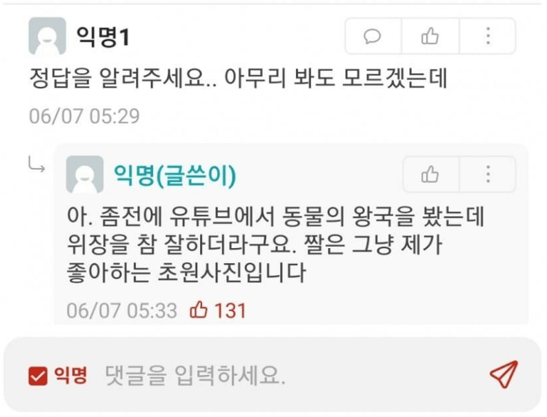 사자의 위장 능력 ㅎㄷㄷ 