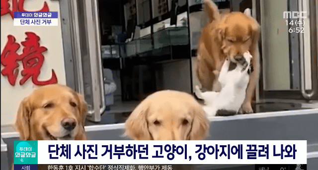 단체사진 거부하면 이렇게 됨. 