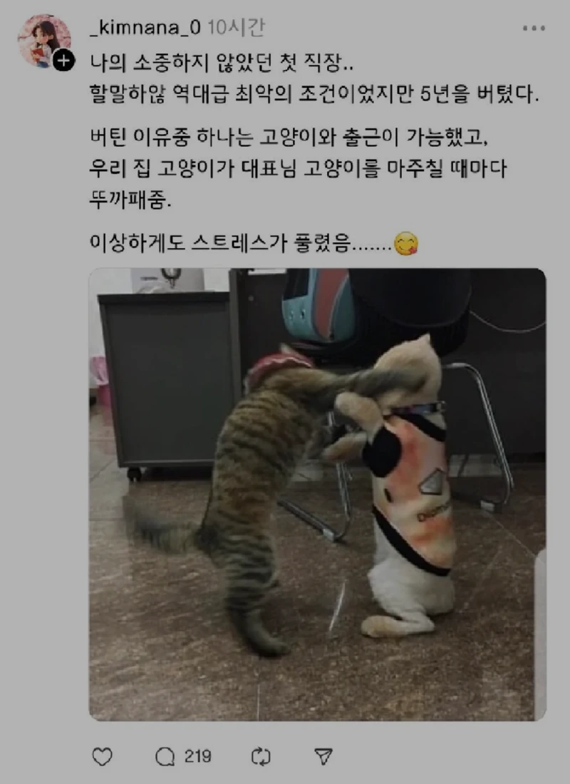 직장에서 5년 버틸수 있었던 비결