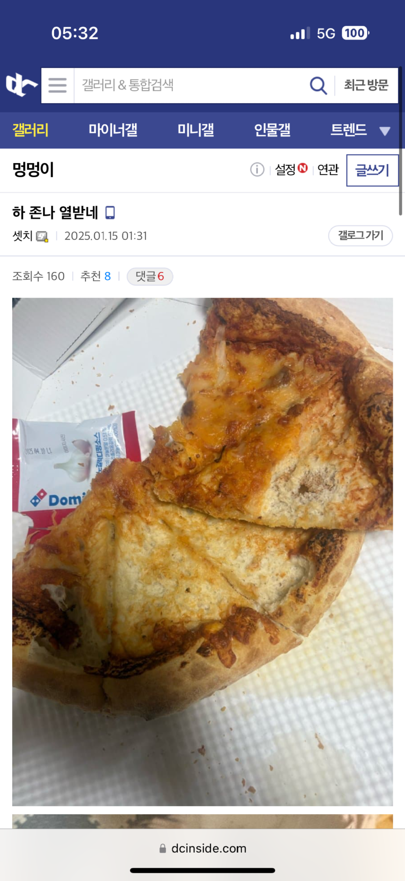 피자 훔쳐먹은 댕댕이 
