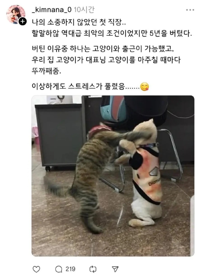 한 직장인이 5년 동안 회사에서 버틸 수 있었던 이유