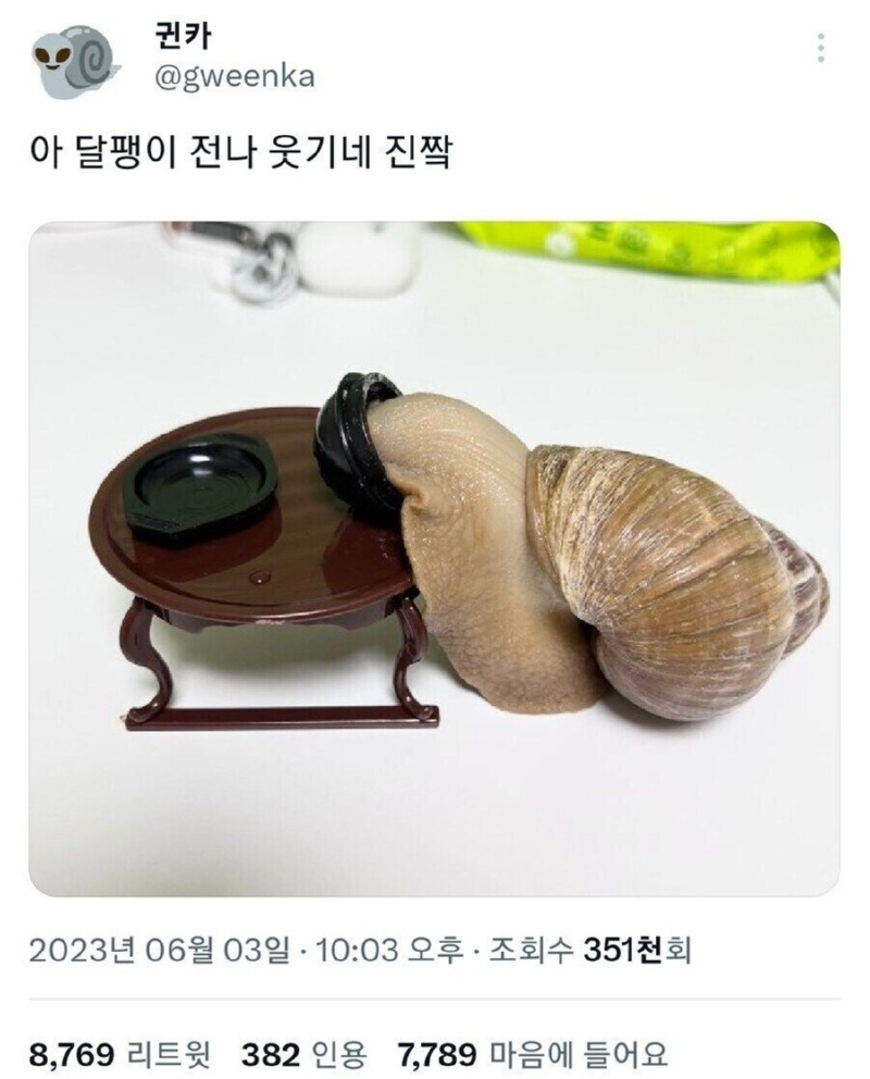 한국 소울을 가진 달팽이 