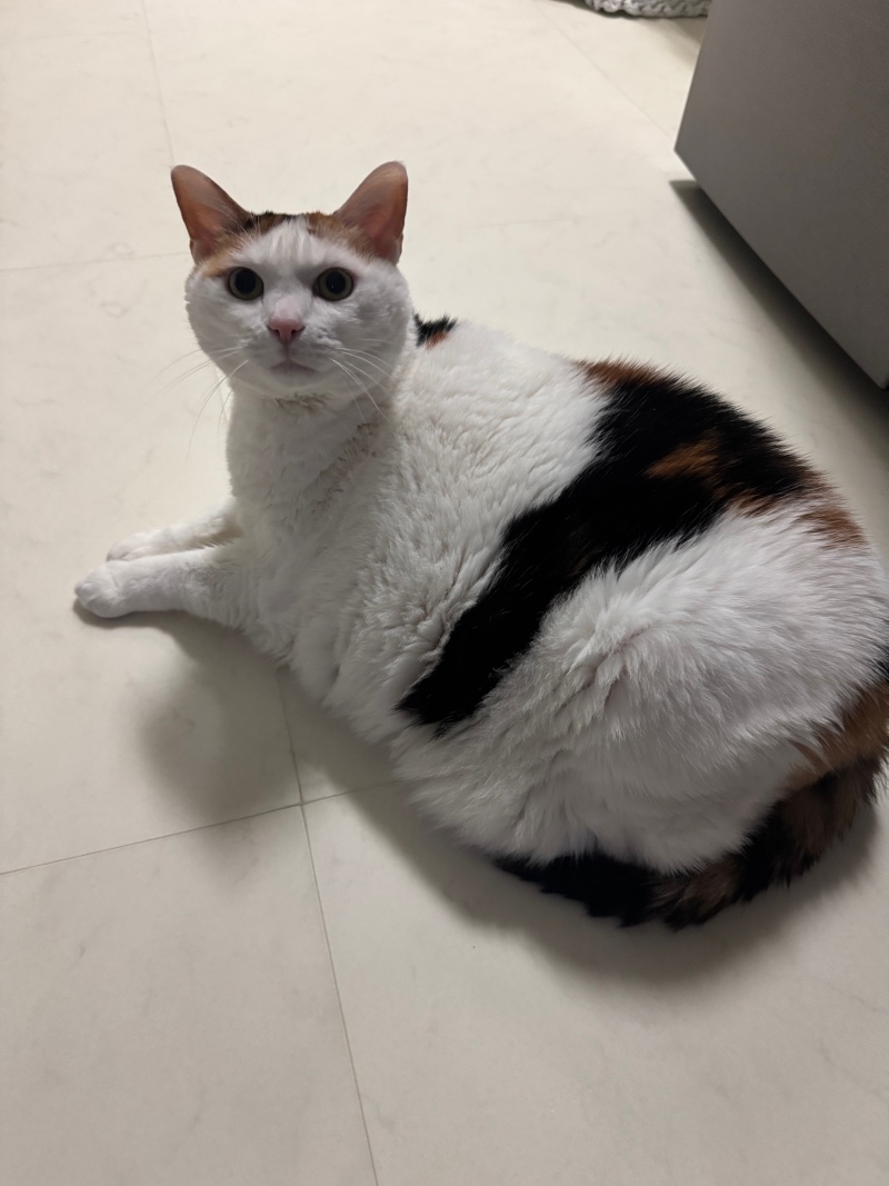 오늘도 뚠뚠><