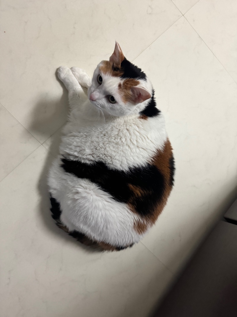 오늘도 뚠뚠><