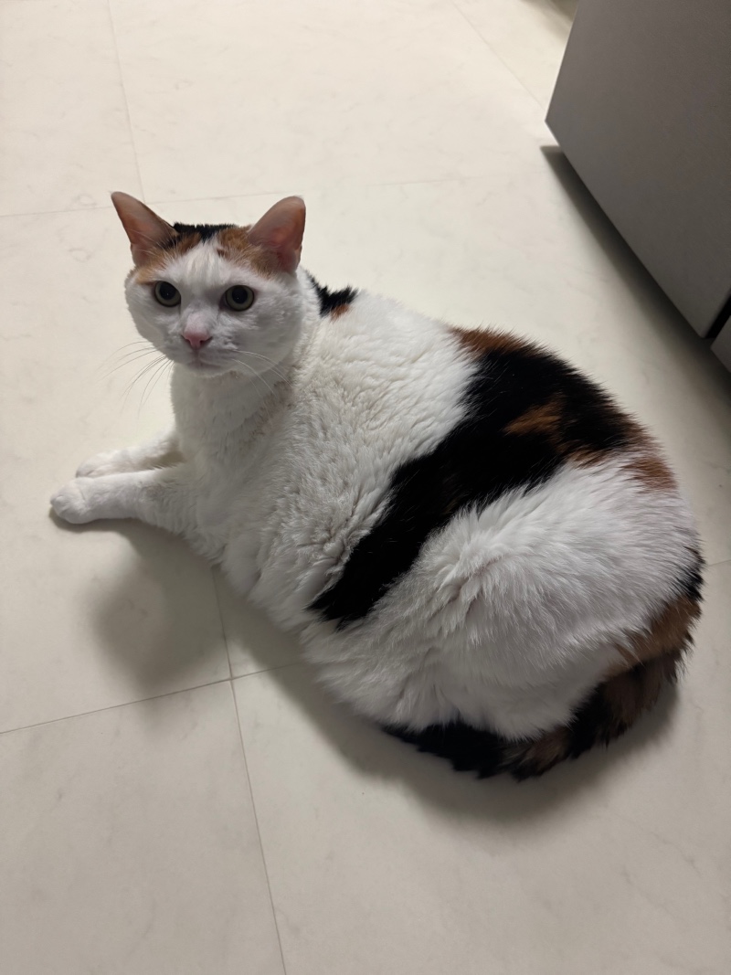 오늘도 뚠뚠><