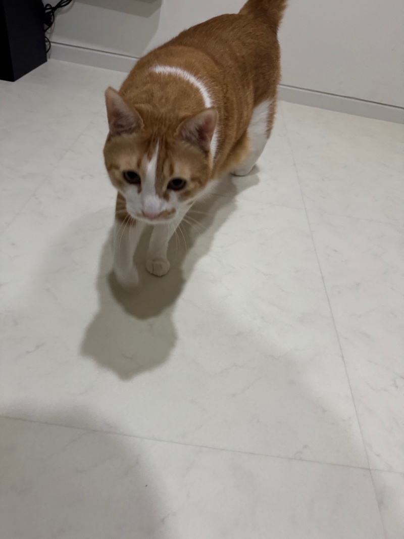 열심히