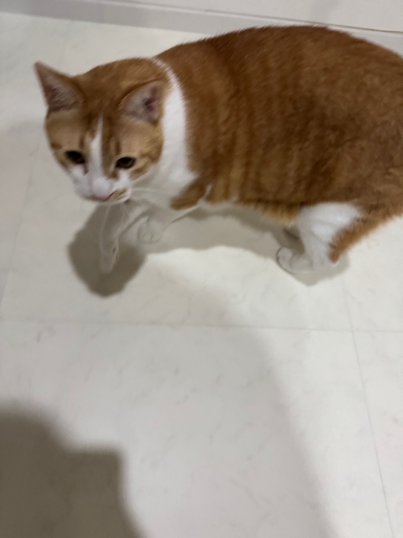 열심히