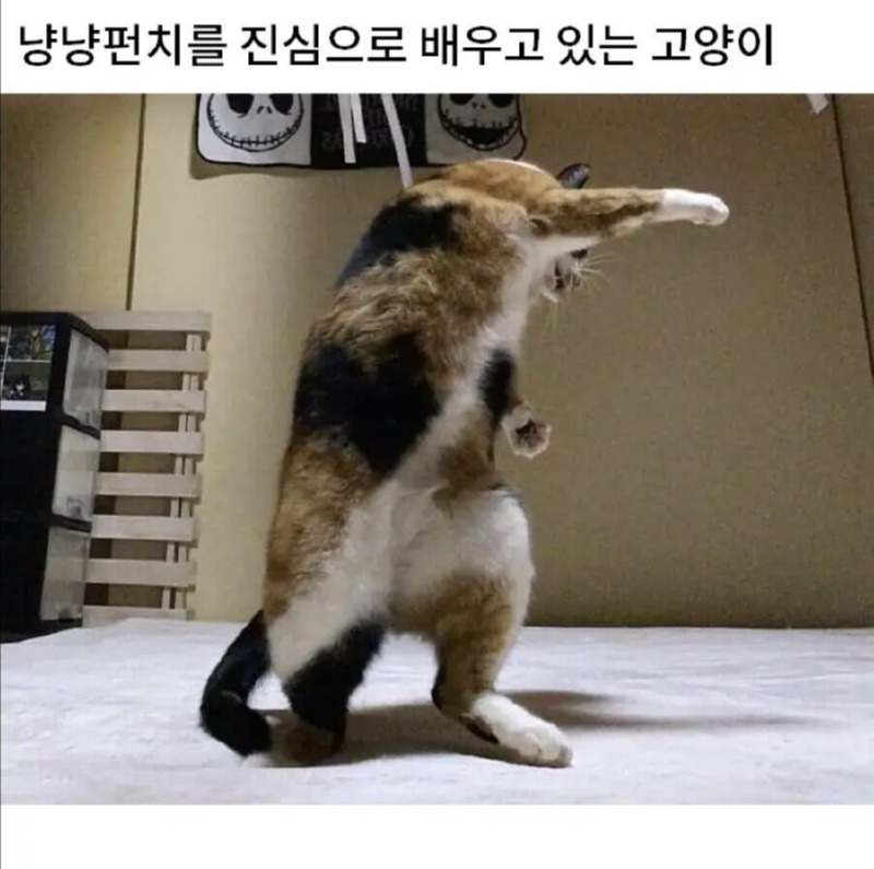 주먹 단련중이다 