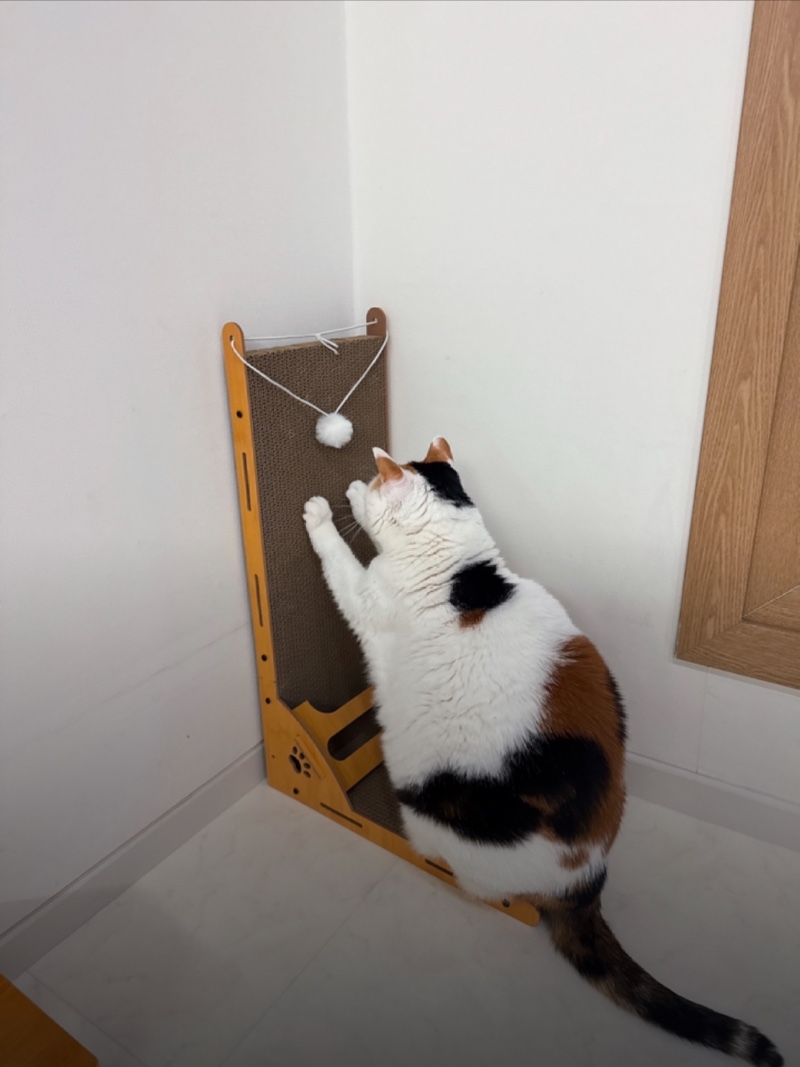 IMG_2497.jpeg